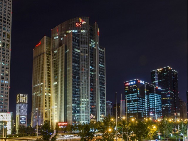 山东防虫小麦种子批发